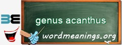 WordMeaning blackboard for genus acanthus